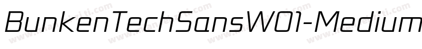 BunkenTechSansW01-Medium Regular字体转换